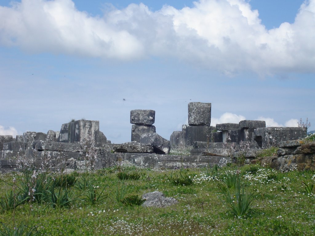 ταξιδιωτικός οδηγός στην Ελλάδα,